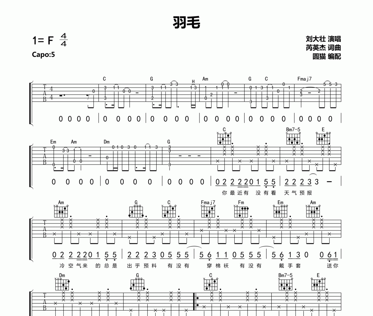 劉大壯《羽毛》吉他譜六線譜C調編配