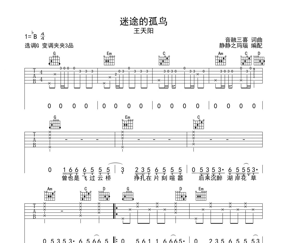 迷途的孤鳥吉他譜 王天陽-迷途的孤鳥G調六線譜