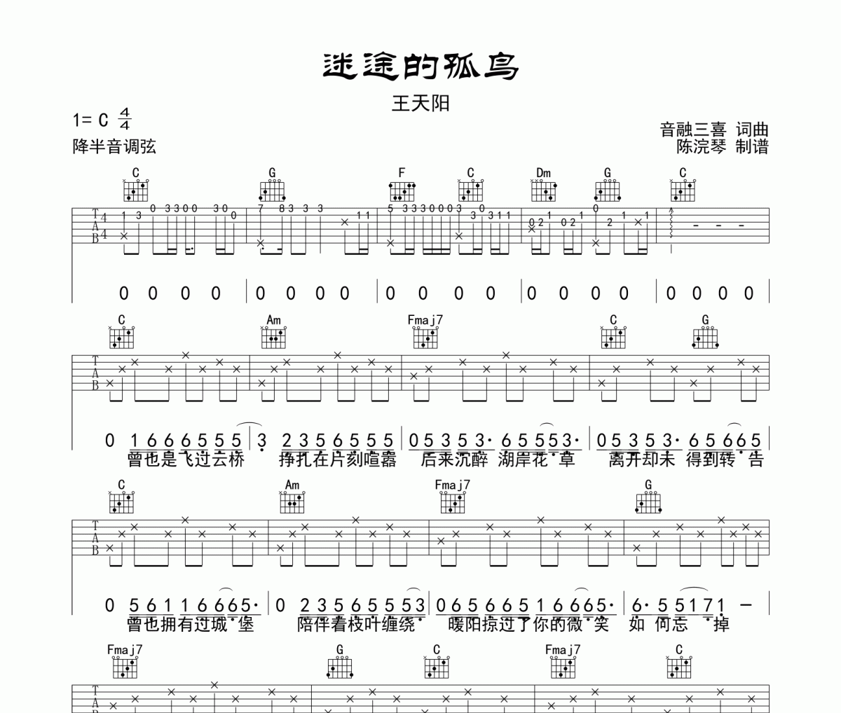 王天陽-迷途的孤鳥吉他譜六線譜C調