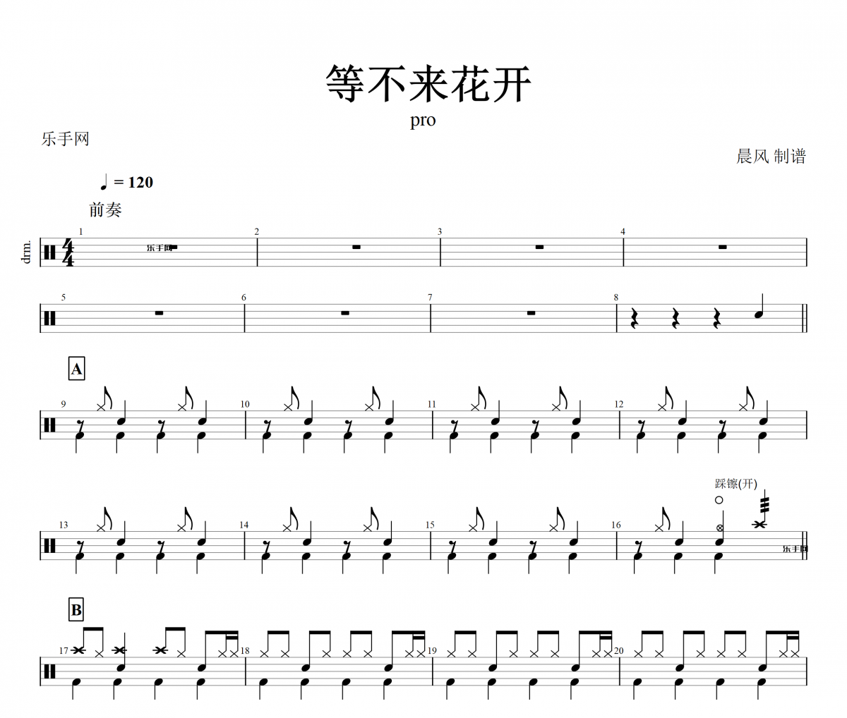等不來花開鼓譜 pro- 等不來花開架子鼓譜