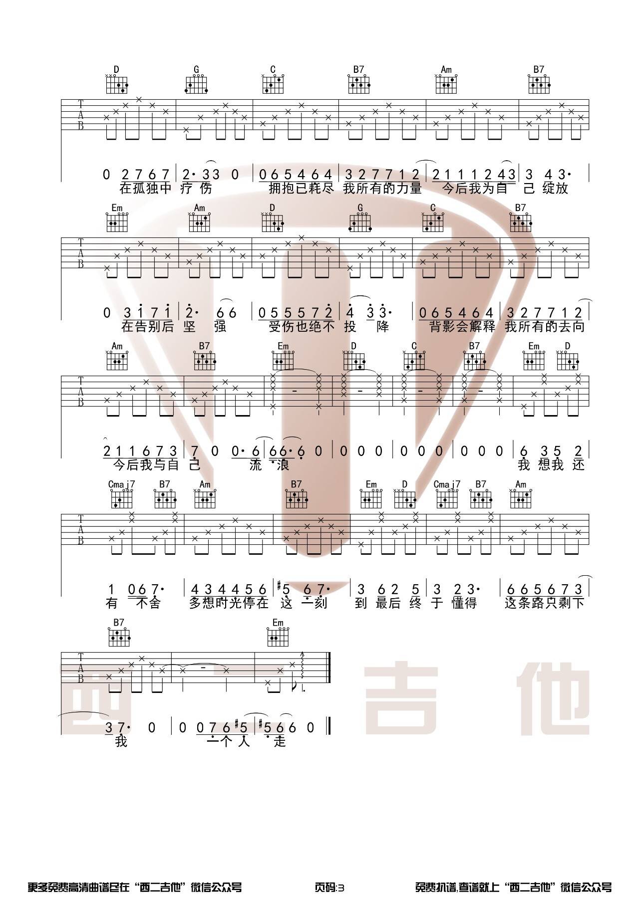 《今后我与自己流浪》吉他谱_张碧晨_G调