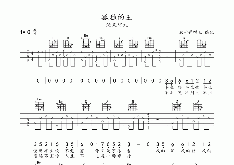 海来阿木-孤独的王吉他谱六线谱G调弹唱