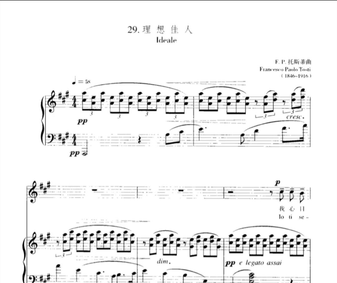 理想佳人