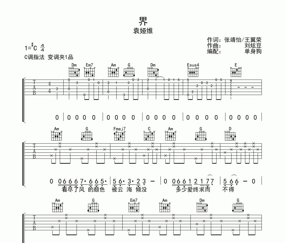 界吉他谱 袁娅维《界》C调弹唱谱