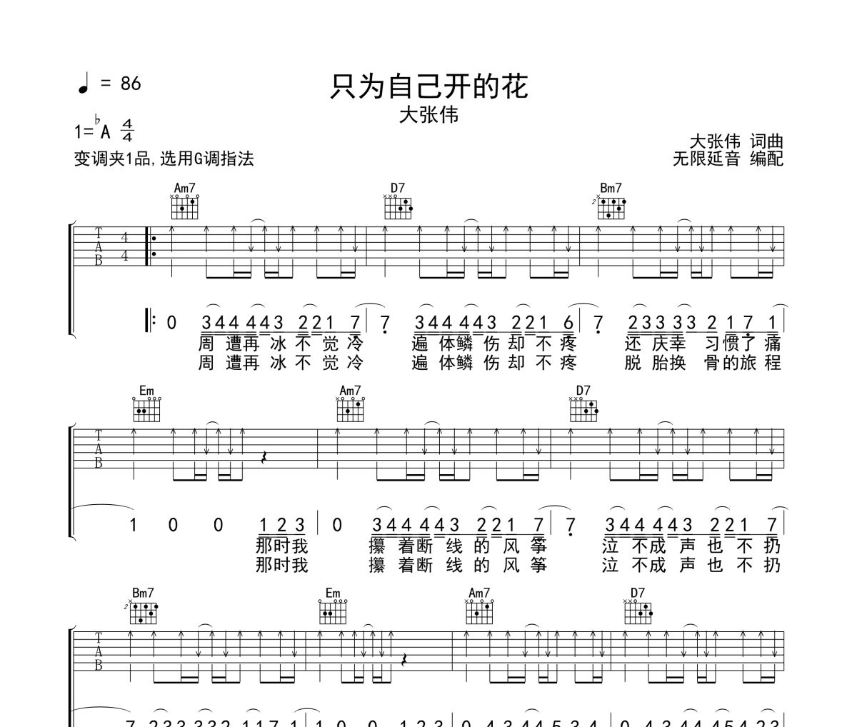 只为自己开的花吉他谱 大张伟-只为自己开的花六线谱 无限延音编配