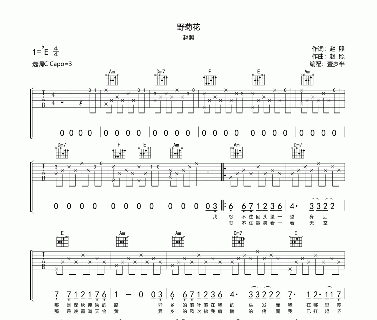 野菊花吉他谱 赵照-野菊花六线谱降E调