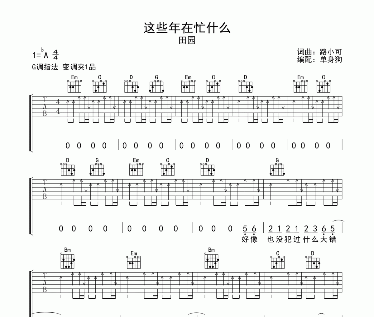这些年在忙什么 吉他谱 田园-这些年在忙什么G调吉他谱