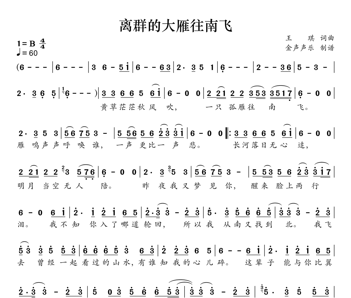 离群的大雁往南飞简谱 王琪《离群的大雁往南飞》简谱B调
