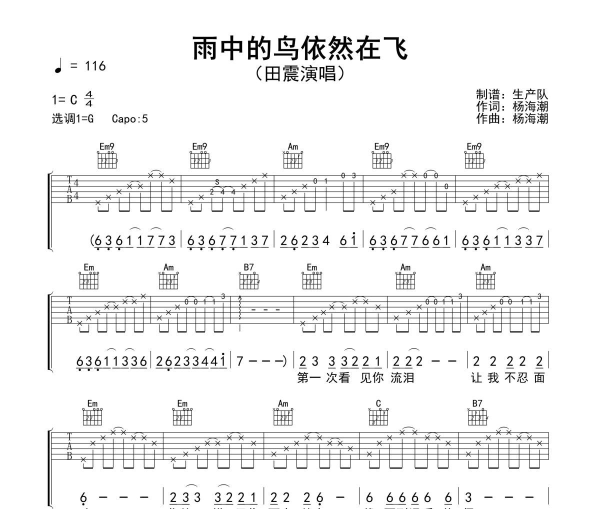 雨中的鸟依然在飞吉他谱 田震《雨中的鸟依然在飞》六线谱G调吉他谱