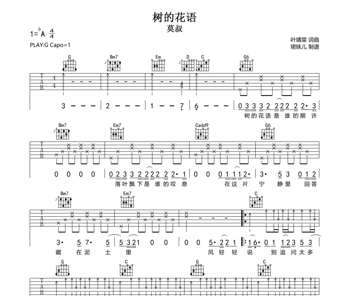 树的花语吉他谱 莫叔《树的花语》六线谱|吉他谱