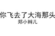 吉他谱《你飞去了大海那头》-郑小辫儿