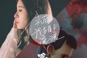 《今后我与自己流浪》吉他谱_张碧晨_G调