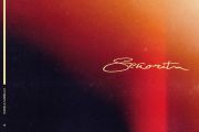 《Señorita》吉他谱-Shawn Mendes/Camila Cabello
