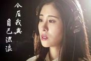 今后我与自己流浪吉他谱_张碧晨_G调原版_弹唱六线谱