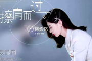 一生与你檫肩而过-吉他谱_阿悠悠_G调弹唱谱