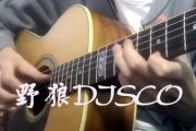 野狼DISCO-指弹谱_宝石gem_吉他独奏谱