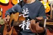 芒种指弹谱_音阙诗听赵方婧_吉他独奏谱