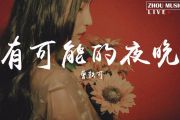曾轶可《有可能的夜晚》吉他谱