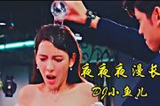 DJ小鱼儿-夜夜夜漫长吉他谱G调完整版弹唱谱