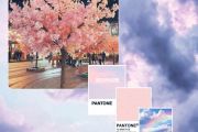 Illusionary Daytime钢琴谱 shirfine-Illusionary Daytime五线谱