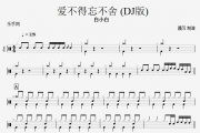 白小白- 爱不得忘不舍 (DJ版)架子鼓谱+动态鼓谱