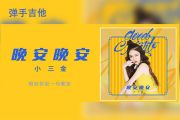 小三金-晚安晚安吉他谱D调指法弹唱