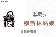 王喂马-穆斯林姑娘吉他谱C调指法弹唱谱