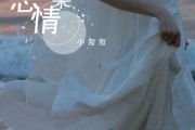 忘情果吉他谱 小匆匆《忘情果》六线谱C调