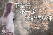 陈雅森《下辈子不一定还能遇见你》吉他弹唱谱G调