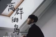 离群的鸟吉他谱 施安迪Andreas《离群的鸟》六线谱C调