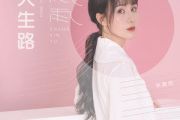 风雨人生路吉他谱 张鑫雨《风雨人生路》六线谱C 调