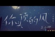 王小帅-你头顶的风(吉他版)吉他谱六线谱