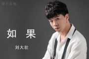 刘大壮-如果（吉他版）吉他谱六线谱