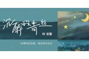 沉醉的青丝吉他谱 林宝馨-沉醉的青丝六线谱