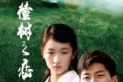 山楂树之恋钢琴谱 程佳佳-山楂树之恋五线谱