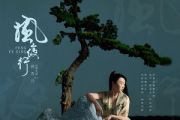 风夜行吉他谱 蒋雪儿《风夜行》六线谱C调