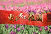 我和我的祖国摇滚版架子鼓谱 秦咏城爵士鼓曲谱