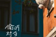 偷听对白吉他谱 joysaaaa-偷听对白六线谱C调