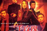 潇洒走一回鼓谱 二手玫瑰乐队-潇洒走一回 （精扒）架子鼓谱