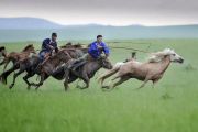 乌兰托娅《套马杆》架子鼓谱爵士鼓曲谱