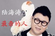 最亲的人吉他谱 陆海涛-最亲的人六线谱