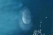 杜宣达《指纹》吉他谱六线谱G调
