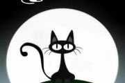夜猫鼓谱 音乐钥匙-夜猫(原版)架子鼓谱