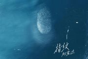 杜宣达《指纹》G调吉他弹唱谱