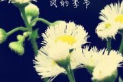 风的季节鼓谱 亮声Kie-风的季节架子鼓谱