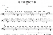 片片相思赋予谁鼓谱 晓依-片片相思赋予谁架子鼓谱