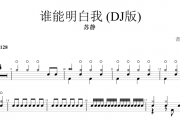 谁能明白我鼓谱 苏静-谁能明白我 (DJ版)架子鼓谱