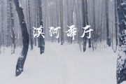 漠河舞厅吉他谱 柳爽-漠河舞厅（2020 星球live）电吉他SOLO