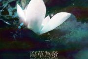 棠梨煎雪钢琴谱 银临-棠梨煎雪五线谱C调