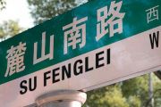 苏丰磊-麓山南路的风吉他谱G调
